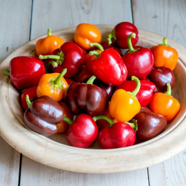Pepper Sweet Seeds Sweetonia Mix