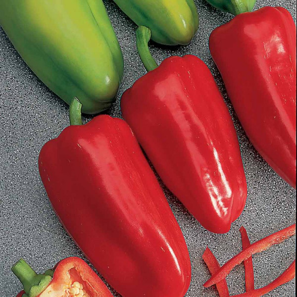 Buy Pepper Sweet Seeds F1 Gypsy Online - Plant Seeds