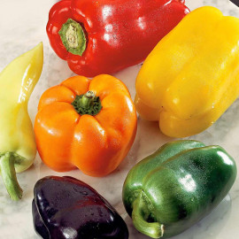 Pepper Sweet Seeds Rainbow Mix