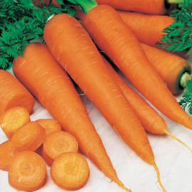 Carrot Seeds St. Valery