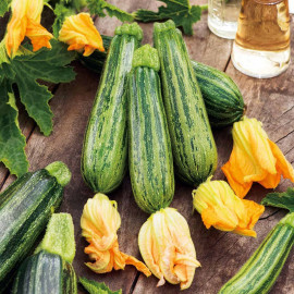 Courgette Seeds Courcourzelle