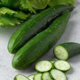 Cucumber Seeds F1 Burpless Tasty Green
