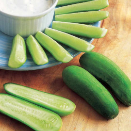 Cucumber Seeds F1 Baby