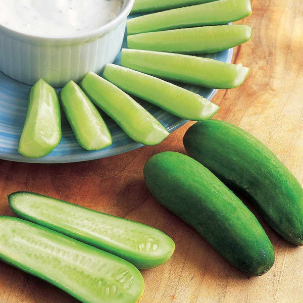 Buy Cucumber Seeds F1 Baby Online - Plant Seeds
