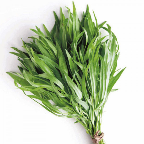 Buy Herb Seed Tarragon Russian Online - Plant Seeds
