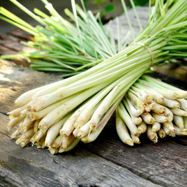 Herb Seed Lemon Grass