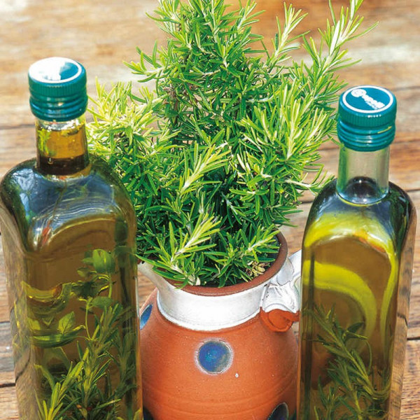 Buy Herb Seed Rosemary Online - Plant Seeds
