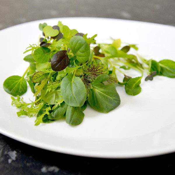 Buy Salad Leaves Seeds Oriental Wonders Mix Online - Plant Seeds