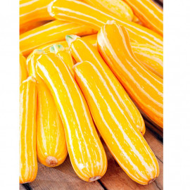 Marrow Seeds F1 Sunstripe