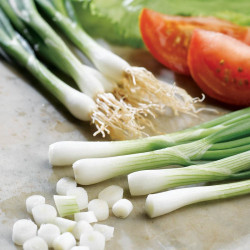 Onion (salad) Seeds White Lisbon
