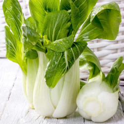 Pak Choi Seeds F1 Hanakan
