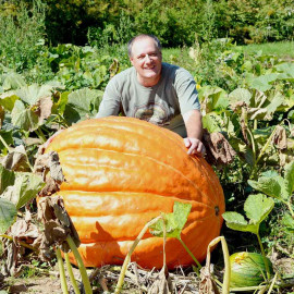 Pumpkin Seeds Atlantic Giant