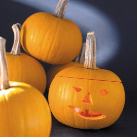 Pumpkin Seeds F1 Becky