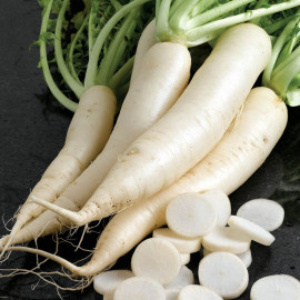 Radish Seeds Mooli