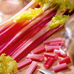 Rhubarb Seeds Victoria