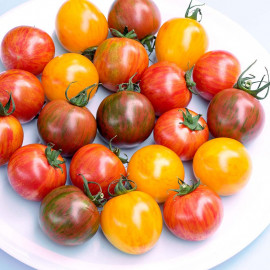 Tomato Seeds Artisan Bumble Bee Mix