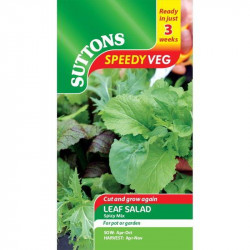 Speedy Veg Seed Leaf Salad Spicy Mix