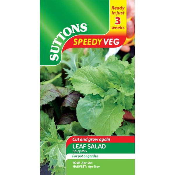 Buy Speedy Veg Seed Leaf Salad Spicy Mix Online - Plant Seeds