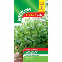 Speedy Veg Seed Leaf Salad Spicy Oriental Mix