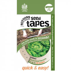 Seed Tape Lettuce