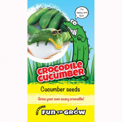 Cucumber Seeds Crocodile Cucumber (bush Champion)