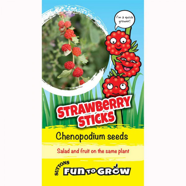 Buy Chenopodium Seeds Strawberry Sticks Online - Plant Seeds