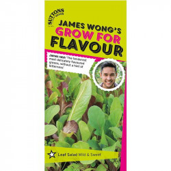 Salad Leaves Seeds Mild and Sweet