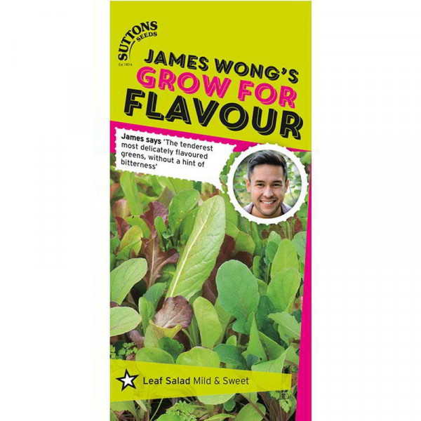 Buy Salad Leaves Seeds Mild and Sweet Online - Plant Seeds Buy Salad Leaves Seeds Mild and Sweet Online - Plant Seeds
