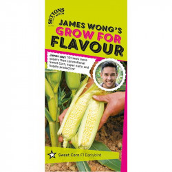 Sweet Corn Seeds Earlibird