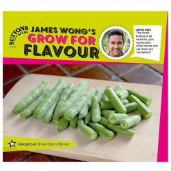 Bean (mangetout Broad) Seeds Stereo