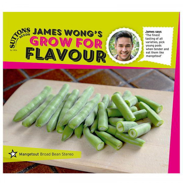 Buy Bean (Mangetout Broad) Seeds Stereo Online - Plant Seeds
