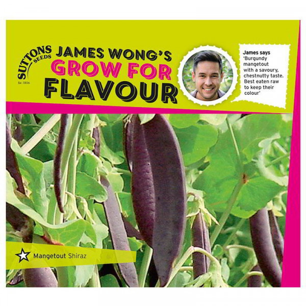 Buy Pea Seeds Shiraz Online - Plant Seeds