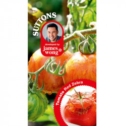 Tomato Seeds Red Zebra