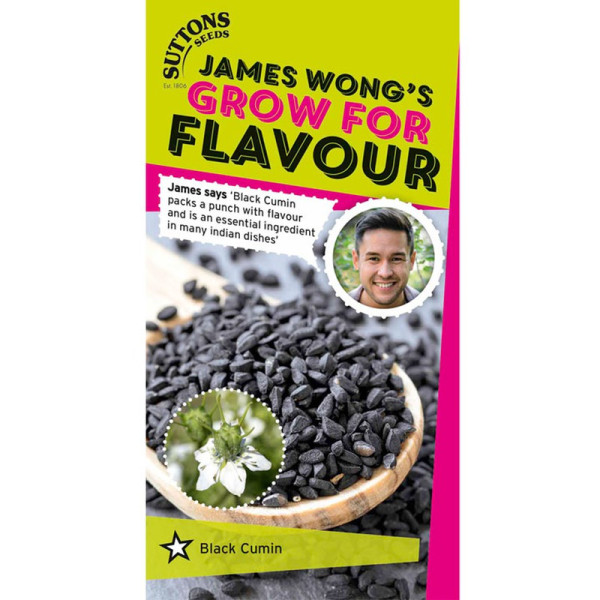 Buy Black Cumin Seeds Online - Plant Seeds Buy Black Cumin Seeds Online - Plant Seeds