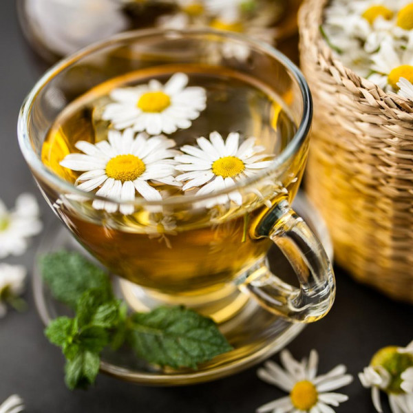 Buy Chamomile Seeds Calming Sleep Soother Online - Plant Seeds