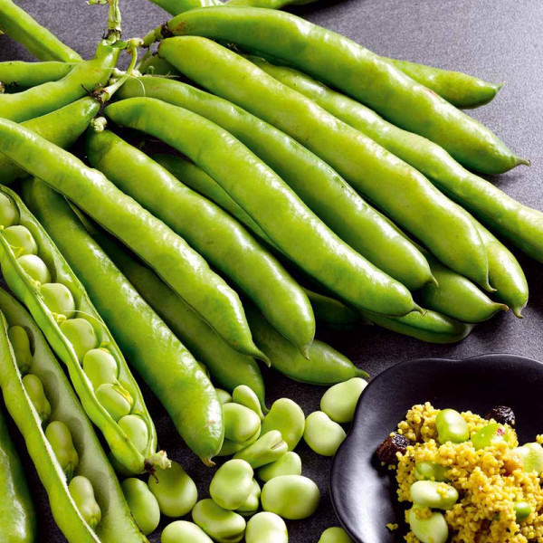 Buy Bean (Broad) Seeds Masterpiece Green Longpod Online - Plant Seeds Buy Bean (Broad) Seeds Masterpiece Green Longpod Online - Plant Seeds