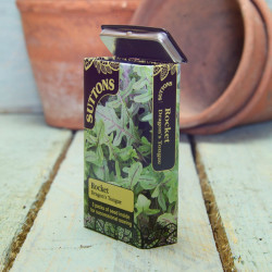 Seed Tin Rocket Dragons Tongue