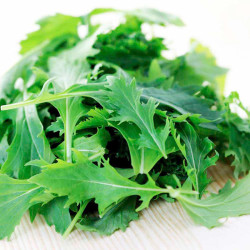 Leaf Salad (organic) Seeds Mizuna